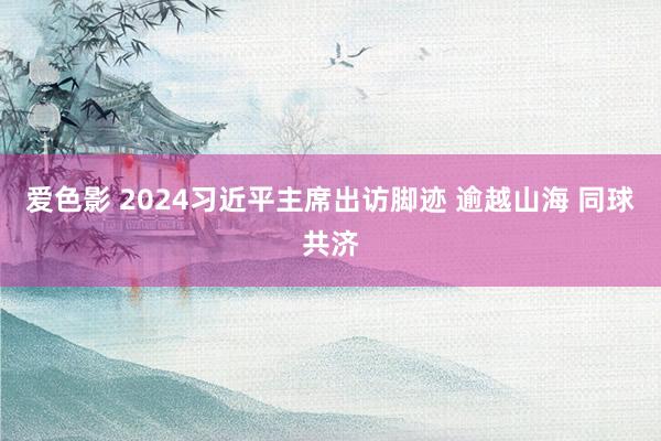 爱色影 2024习近平主席出访脚迹 逾越山海 同球共济