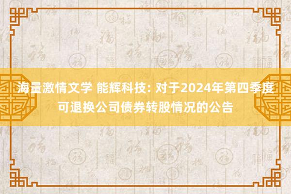 海量激情文学 能辉科技: 对于2024年第四季度可退换公司债券转股情况的公告