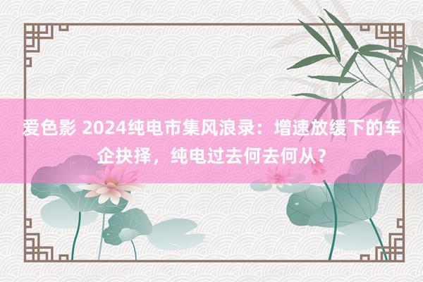 爱色影 2024纯电市集风浪录：增速放缓下的车企抉择，纯电过去何去何从？