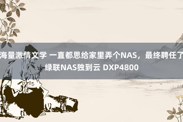 海量激情文学 一直都思给家里弄个NAS，最终聘任了绿联NAS独到云 DXP4800