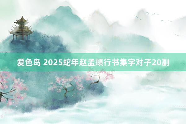 爱色岛 2025蛇年赵孟頫行书集字对子20副