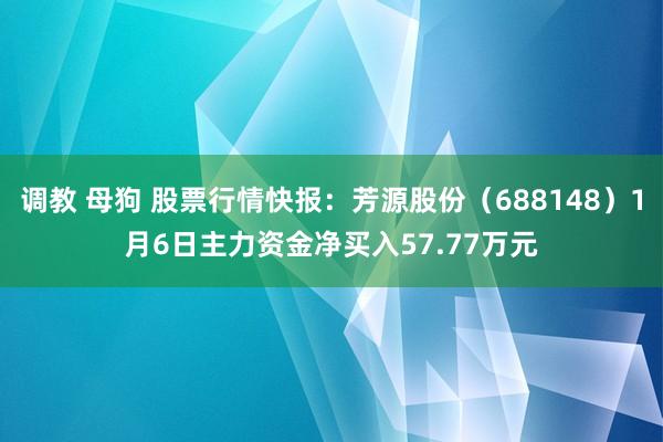 调教 母狗 股票行情快报：芳源股份（688148）1月6日主力资金净买入57.77万元