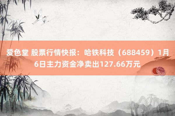 爱色堂 股票行情快报：哈铁科技（688459）1月6日主力资金净卖出127.66万元