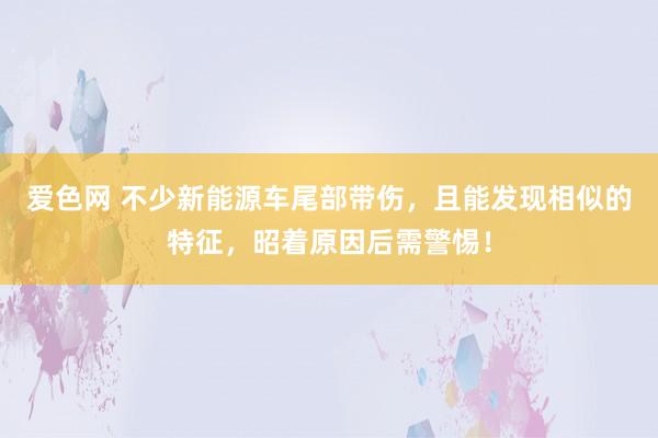 爱色网 不少新能源车尾部带伤，且能发现相似的特征，昭着原因后需警惕！