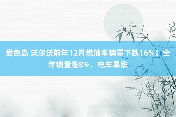 爱色岛 沃尔沃前年12月燃油车销量下跌16%！全年销量涨8%，电车暴涨