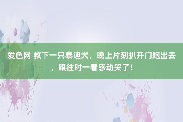 爱色网 救下一只泰迪犬，晚上片刻扒开门跑出去，跟往时一看感动哭了！