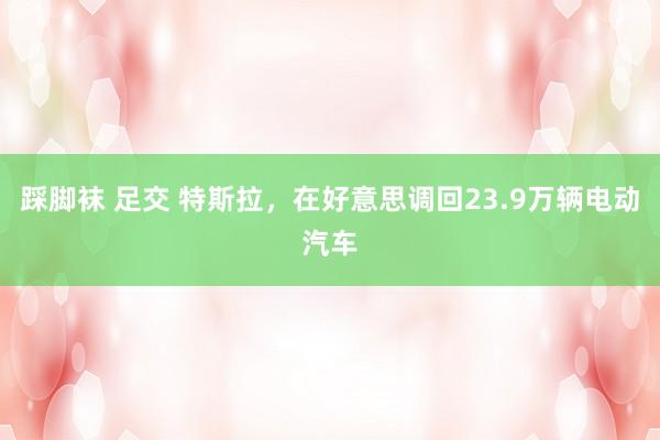 踩脚袜 足交 特斯拉，在好意思调回23.9万辆电动汽车