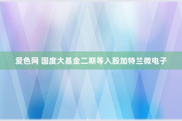 爱色网 国度大基金二期等入股加特兰微电子