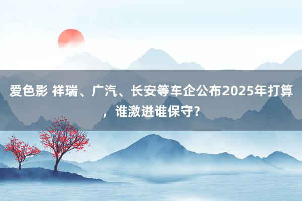 爱色影 祥瑞、广汽、长安等车企公布2025年打算，谁激进谁保守？