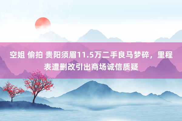 空姐 偷拍 贵阳须眉11.5万二手良马梦碎，里程表遭删改引出商场诚信质疑