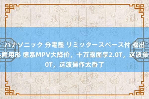 パナソニック 分電盤 リミッタースペース付 露出・半埋込両用形 德系MPV大降价，十万露面享2.0T，这波操作太香了