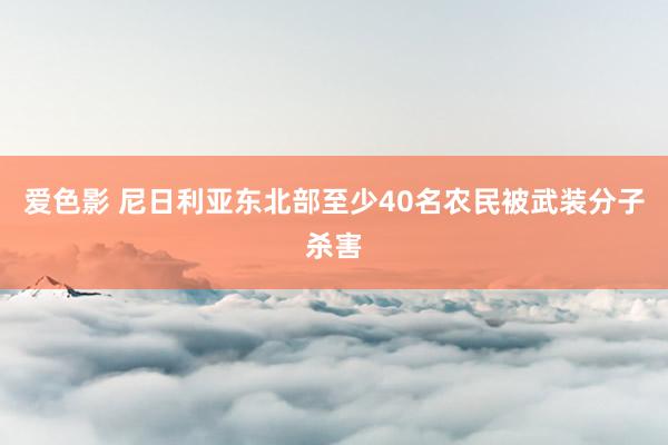 爱色影 尼日利亚东北部至少40名农民被武装分子杀害