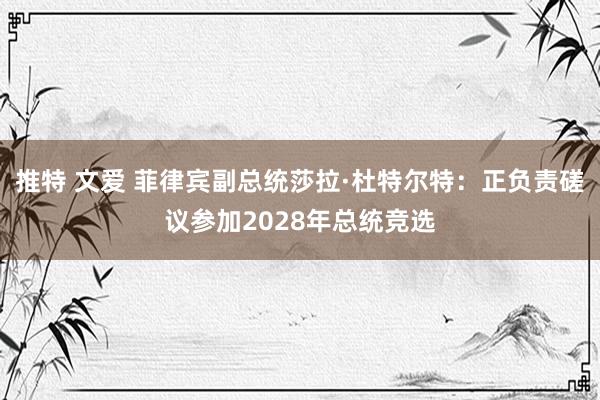 推特 文爱 菲律宾副总统莎拉·杜特尔特：正负责磋议参加2028年总统竞选